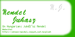 mendel juhasz business card